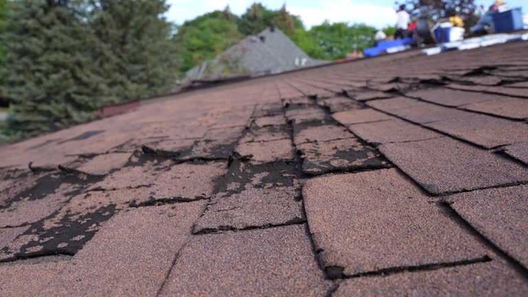 4 Ply Roofing in Johnston, IA